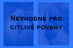 Obrázky z průběhu operace